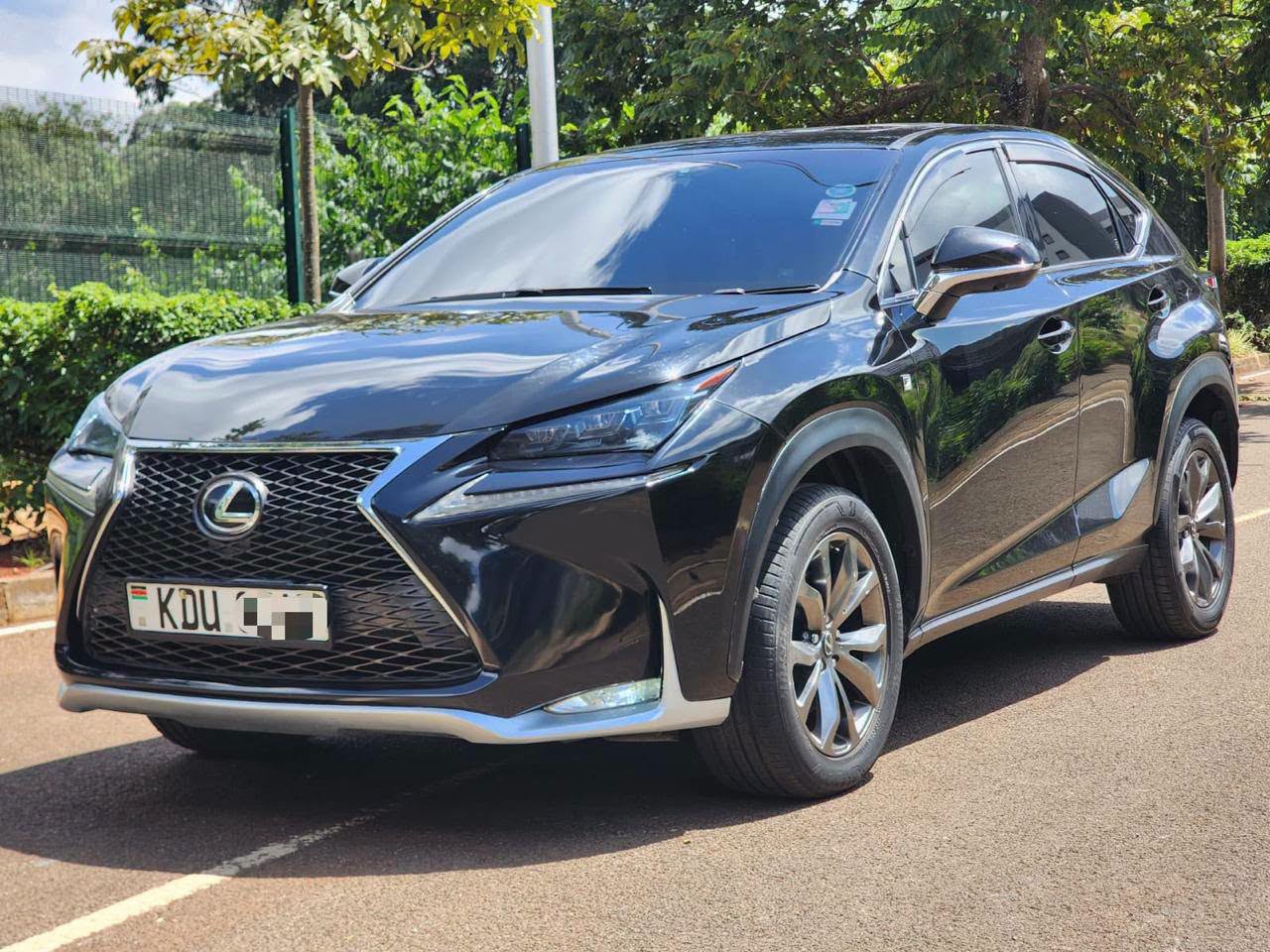 2014 Lexus NX200T