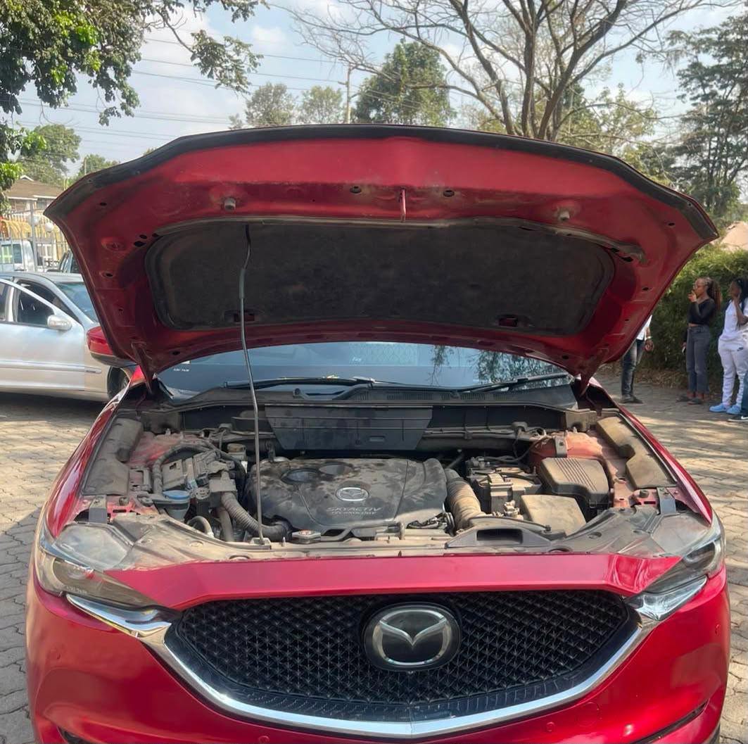 2019 Mazda CX-5 thumbnail 4